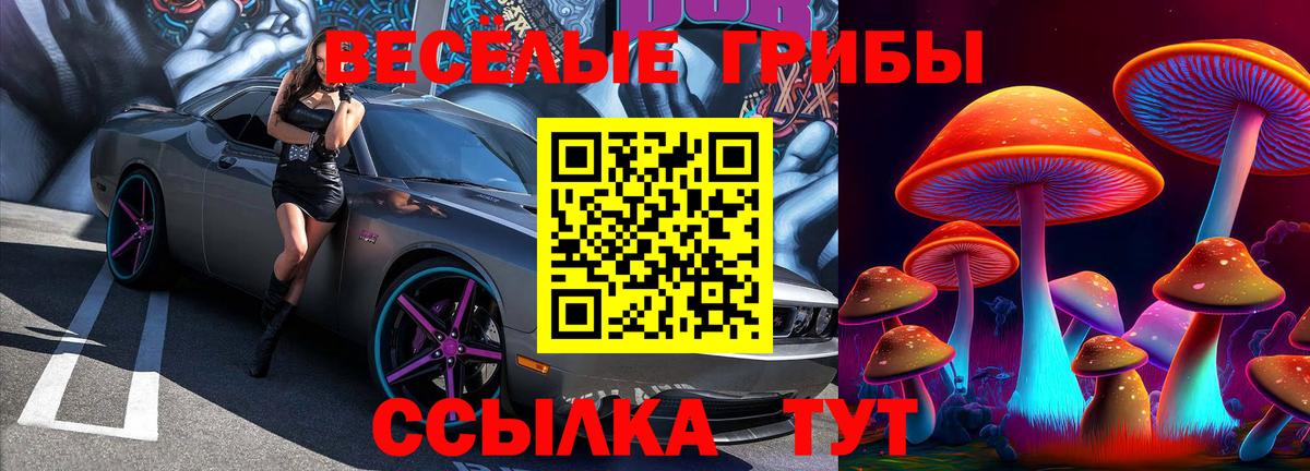 Кудрово  Псилоцибиновые грибы мухоморы  Галлюциногенные грибы ЛСД  Вход с VPN 